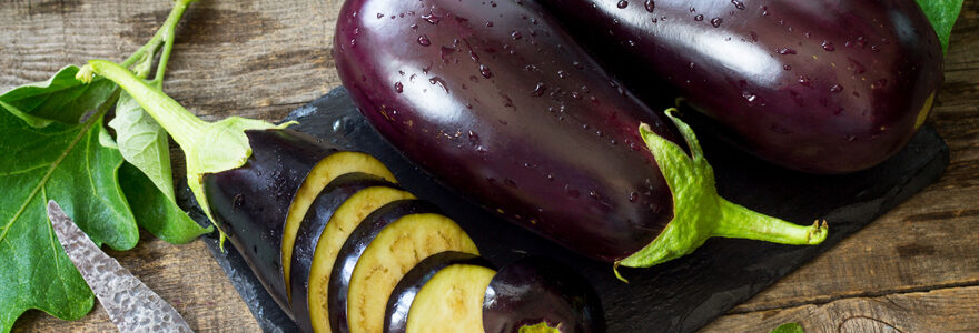 aubergine