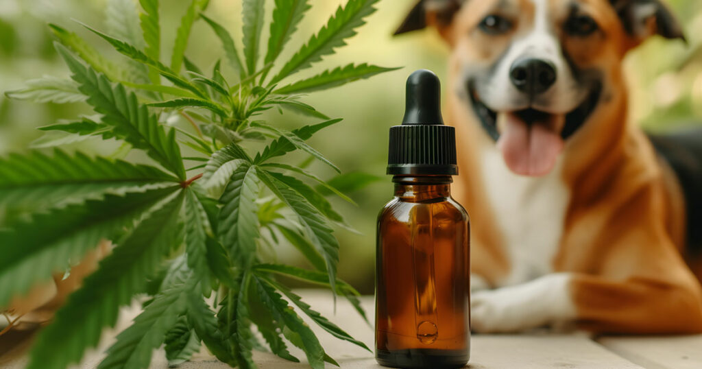 CBD